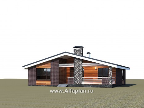 Проекты домов Альфаплан - «Веда» - проект одноэтажного дома с сауной - превью дополнительного изображения №1