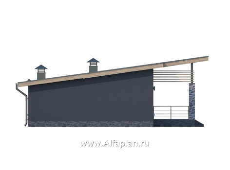 «Корица» - проект одноэтажного дома, с террасой, 2 спальни, с односкатной крышей - превью фасада дома