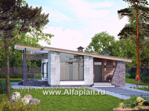 «Корица» - проект одноэтажного дома, с террасой, 2 спальни, с односкатной крышей
