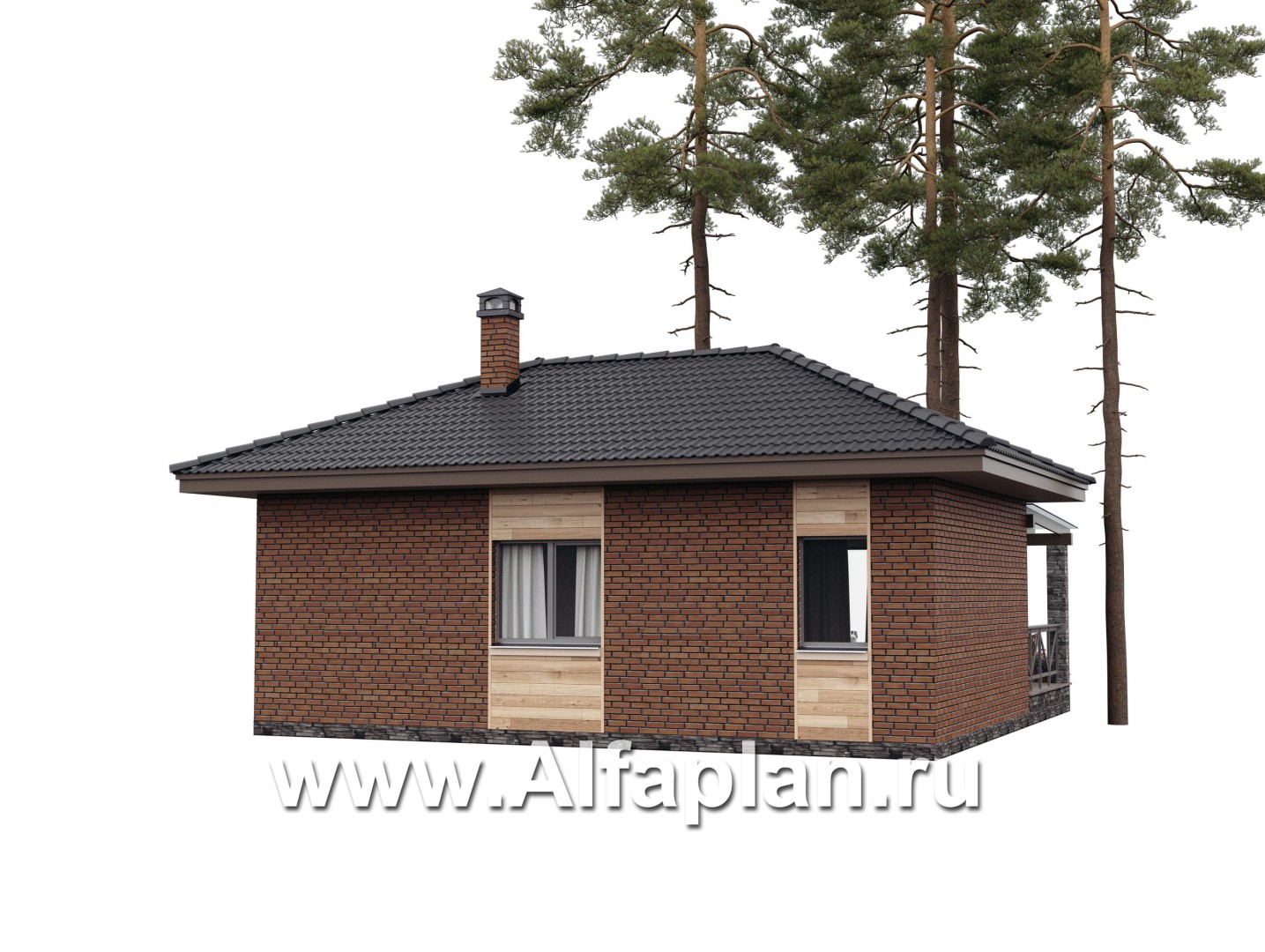 Проект бани, каркасный дом, с большой террасой - дизайн дома №2