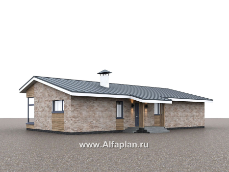 Проекты домов Альфаплан - "Алладин" - проект одноэтажного дома, мастер спальня, с террасой и красивым потолком гостиной со стропилами - превью дополнительного изображения №3